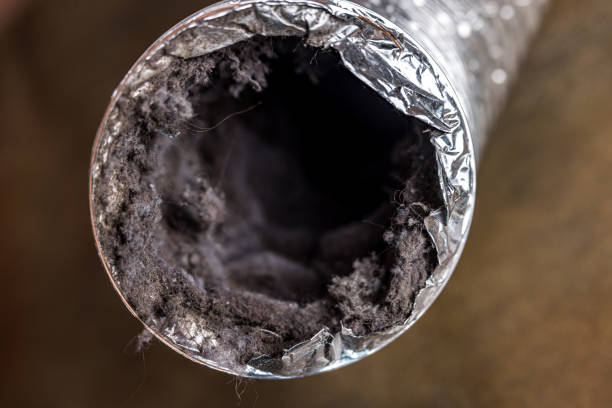 Best Ventilation Cleaning Services  in Waverly, IL